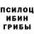 Галлюциногенные грибы мухоморы Arbitrium Arbitrium