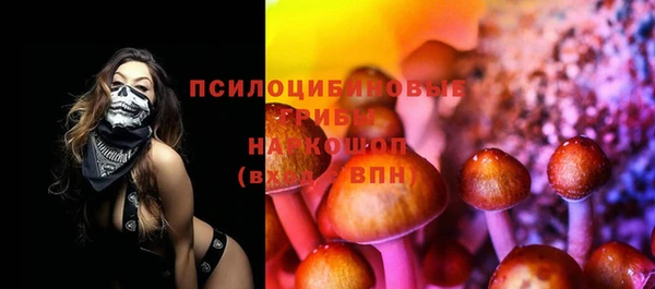 тгк Арсеньев