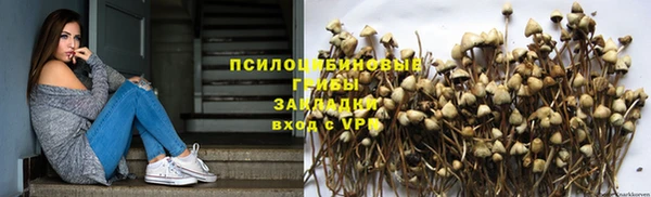 метадон Аркадак