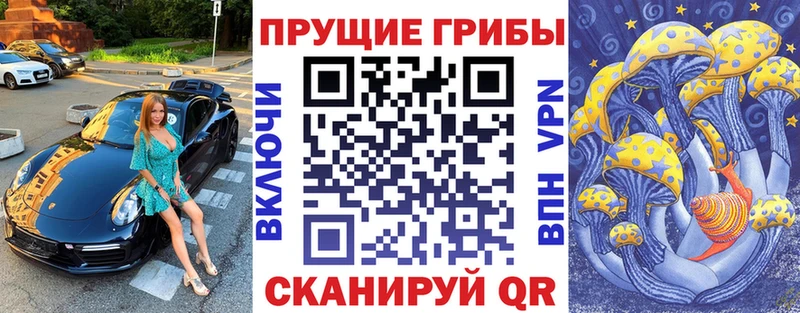 продажа наркотиков  hydra сайт  Галлюциногенные грибы мухоморы  Вяземский 