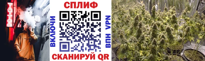 kraken рабочий сайт  купить  цена  Вяземский  МАРИХУАНА семена 